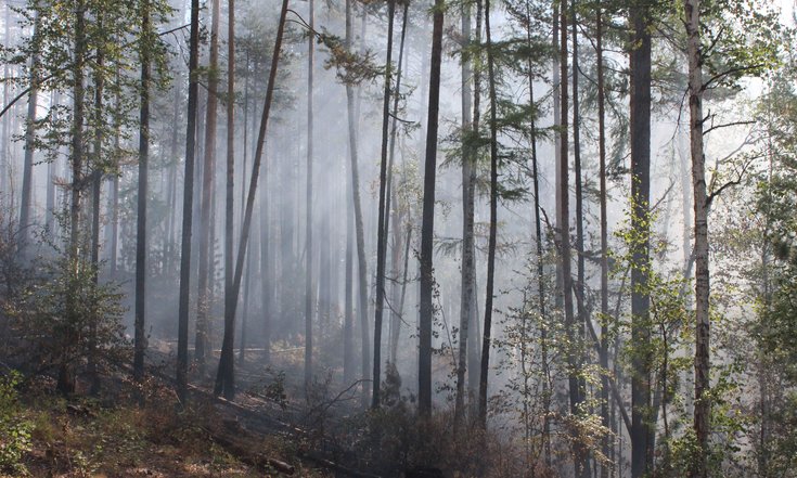 Лесной пожар в Республике Бурятия