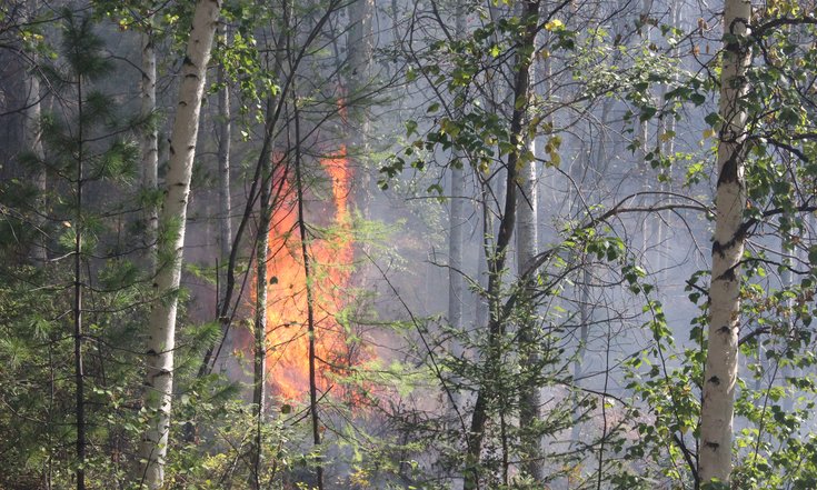 Лесной пожар в Республике Бурятия