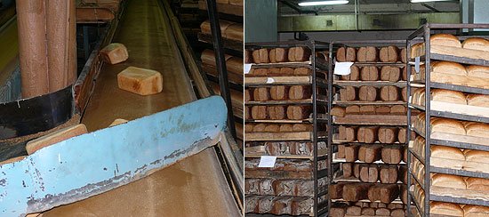 Продукция компании