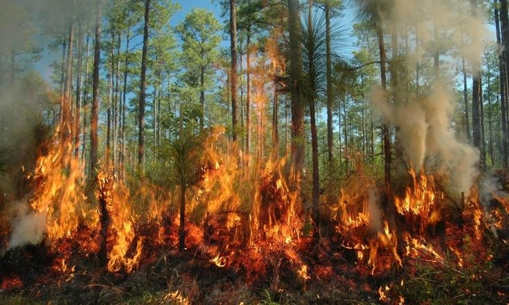 Фотография пресс-службы правительства Томской области